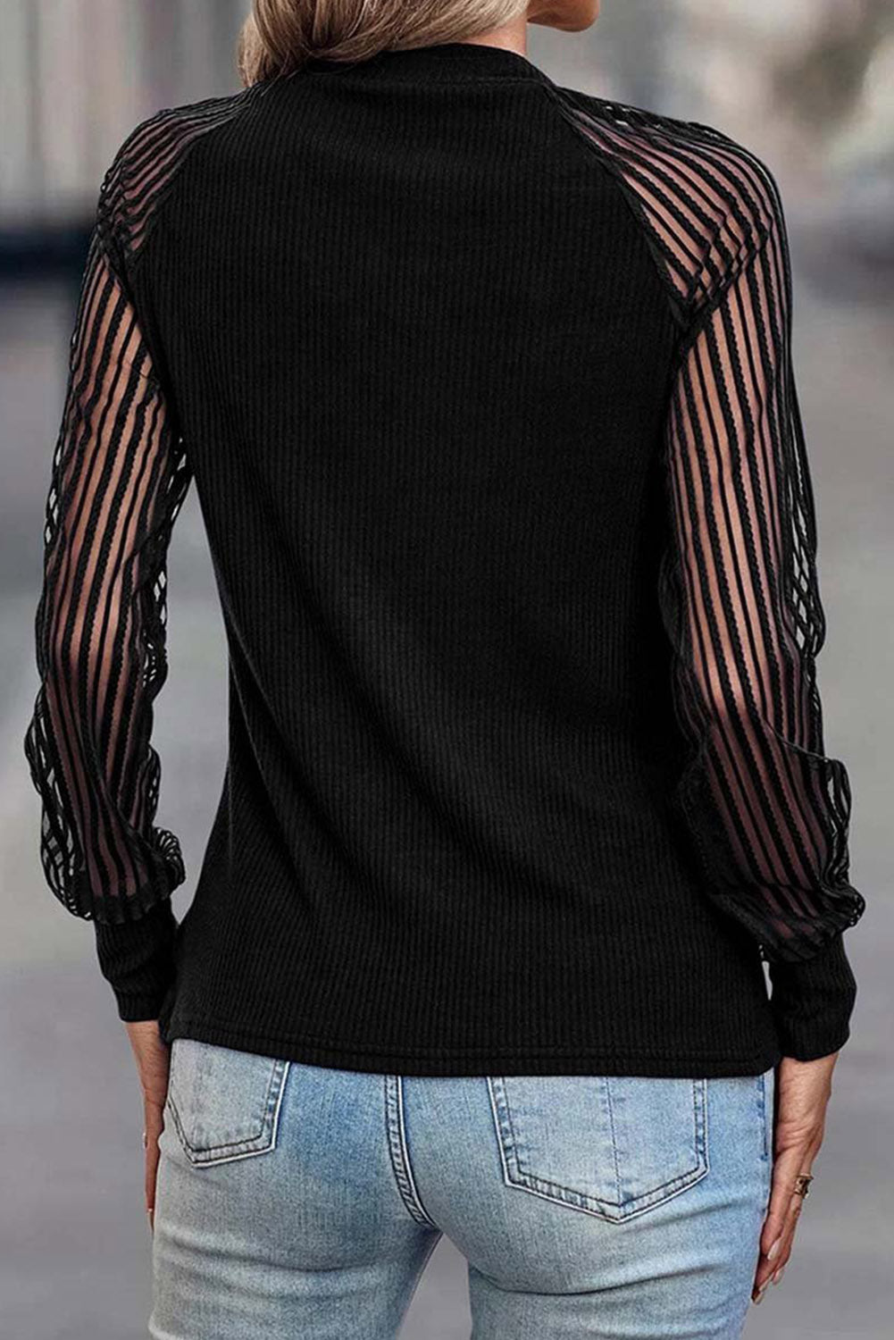 Black Basic Crew Neck Dressy Striped Mesh Long Sleeve Top